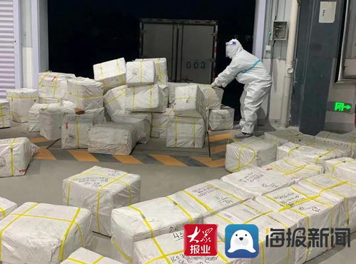鄄城發制品助力菏澤內陸港保稅物流中心首批進出口業務圓滿完成