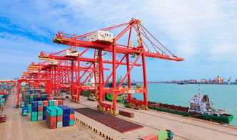 違反海關(guān)監(jiān)管規(guī)定將面臨哪些風險 企業(yè)管理咨詢